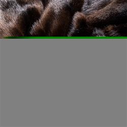 Extra Product Image