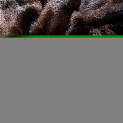 Faux Fur Dog Throw: Chocolate 