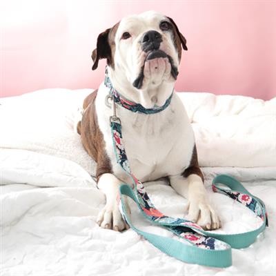 'Lacey' Floral Cotton Voile Dog Collars & Leashes