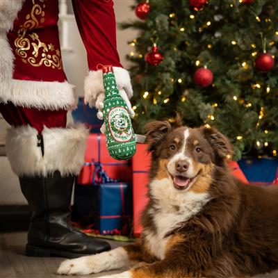 Holiday Cheer Beer Dog Toy