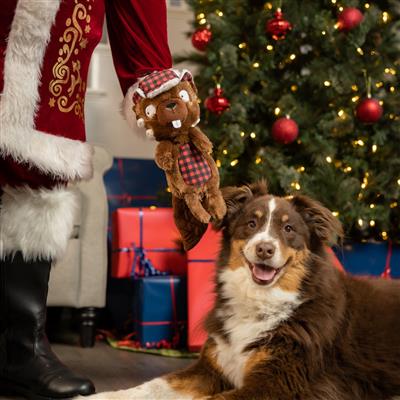 Slappies® Ralphie Beaver Dog Toy