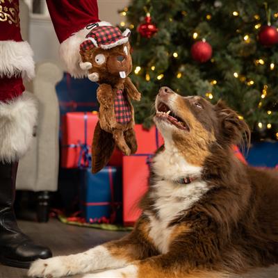 Slappies® Ralphie Beaver Dog Toy