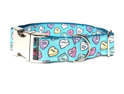 TEAL CONVERSATIONS - DOG COLLAR