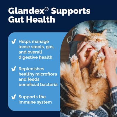 Glandex Feline Anal Gland Support Powder - Tuna Flavor