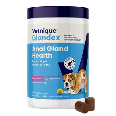 Glandex Anal Gland Support Soft Chews - Bacon and Pumpkin Flavor 120 ct.