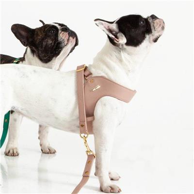 Dusty Rose Leather Dog Harness