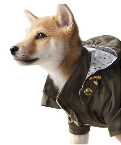 Military Green Raincoat for Dogs