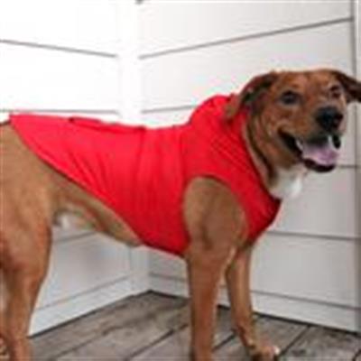 Packable Raincoat - Red