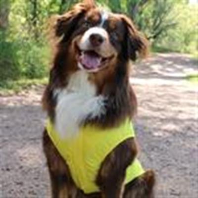 Packable Raincoat - Yellow