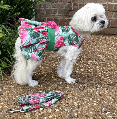 Juicy Watermelon Dog Dress with Matching Leash