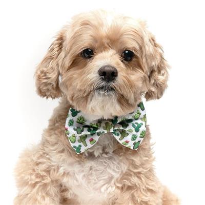 CACTUS - VELCRO BOW TIE