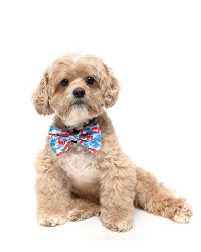 WHITE RED BLUE SWIRLS  - VELCRO BOW TIE