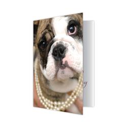 Extra Product Image