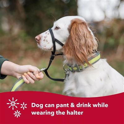 Coastal Products Walk n Train! Dog Head Halter-Small-01