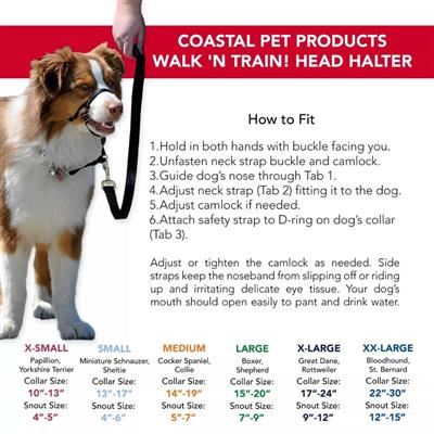 Coastal Products Walk n Train! Dog Head Halter-Small-01