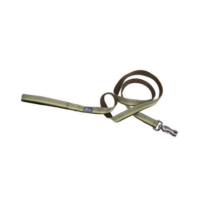 Coastal Products K9 Explorer Reflective Dog Leash with Scissor Snap Fern Size: 1" x 06'