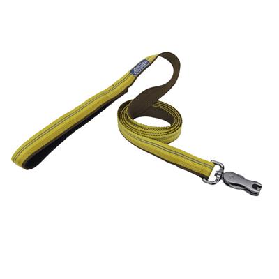 Coastal Products K9 Explorer Reflective Dog Leash with Scissor Snap Golden Rod Size: 1" x 06'