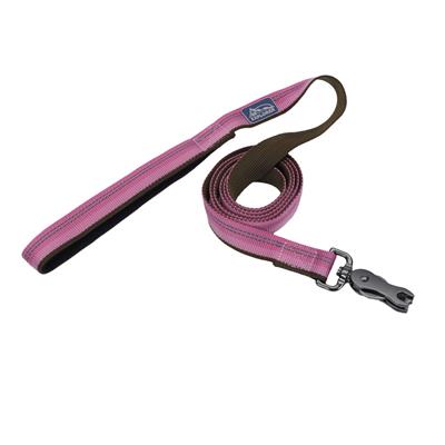 Coastal Products K9 Explorer Reflective Dog Leash with Scissor Snap Rosebud  Size: 1" x 06'