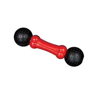 SPUNKY PUP FETCH & CHEW BONE