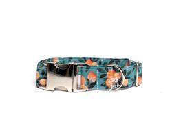 ORANGES ON TEAL - DOG COLLAR