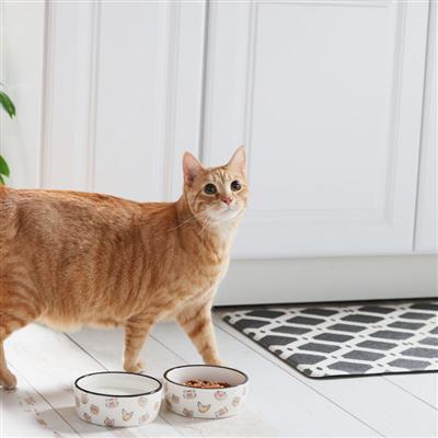 Cat Faces Ceramic Pet Bowl, Small