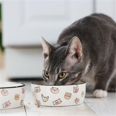 Cat Faces Ceramic Pet Bowl, Small