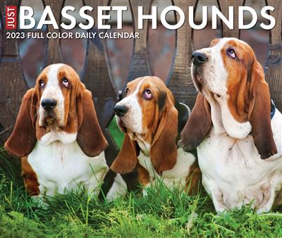 Basset Hounds 2023 Box Calendar