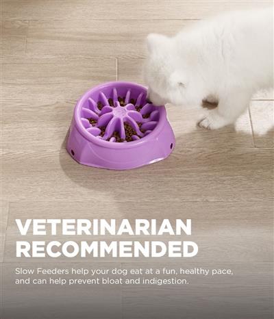 Outward Hound 3in1 UP Feeder - Adjustable Elevated Slow Feeder Dog Bowl, Purple