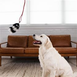Extra Product Image