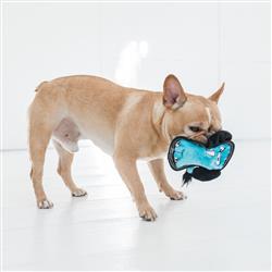 Extra Product Image