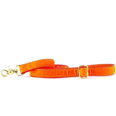Orange Velvet Essential Collars with Optional Leash (1" Only)