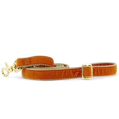 Antique Gold Velvet Essential Collars with Optional Leash