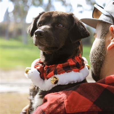 Buffalo Check Ruff