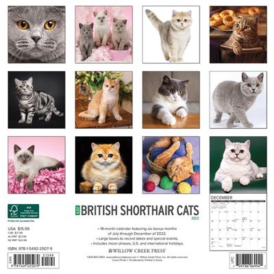 British Shorthair Cats 2023 Wall Calendar