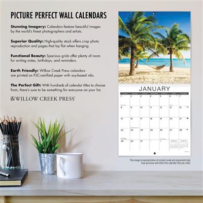 British Shorthair Cats 2023 Wall Calendar