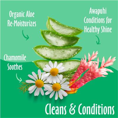 Earthbath Grooming Wipes; Green Tea Awapuhi 1Ea-100 Ct