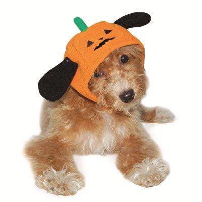 Pumpkin Hat