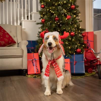 Red Fairisle Antler Hat with SnugFit®