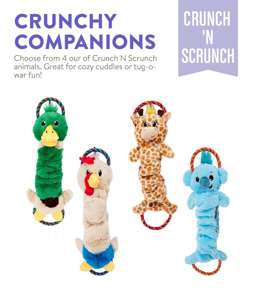 Charming Pet Crunch N Scrunch Chicken Dog Toy
