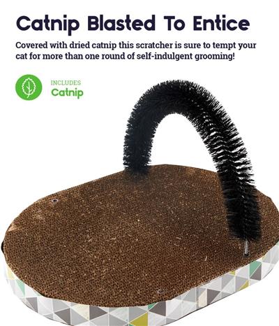 The Petstages Scratch & Groom Self-Grooming Scratcher