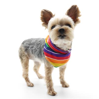 DOGO Bandana Rainbow