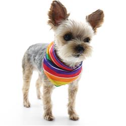 Extra Product Image