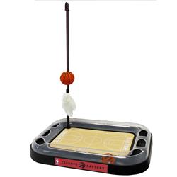 Toronto Raptors Basketball Cat Scratcher Toy by Pets First