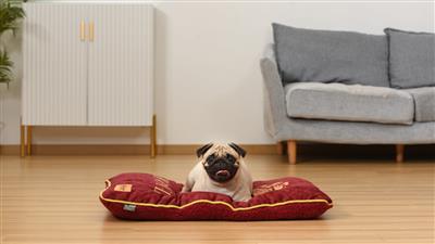 Harry Potter: Hogwarts Napper Bed