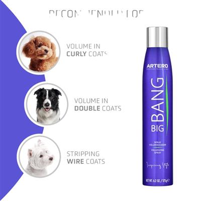 Artero Big Bang Volumizing Spray