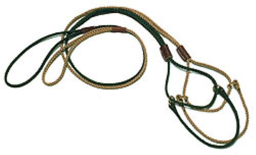 Martingale Show Lead