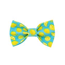 Summer Bow Tie | Lemon | Food Bow Tie