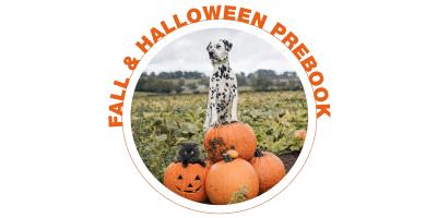2026 Fall/Halloween Prebook is Open!