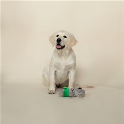 Shake Your Palm Palms Plush Dog Toy