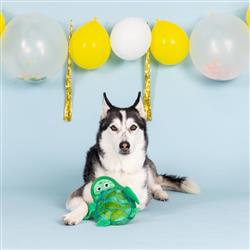 Extra Product Image